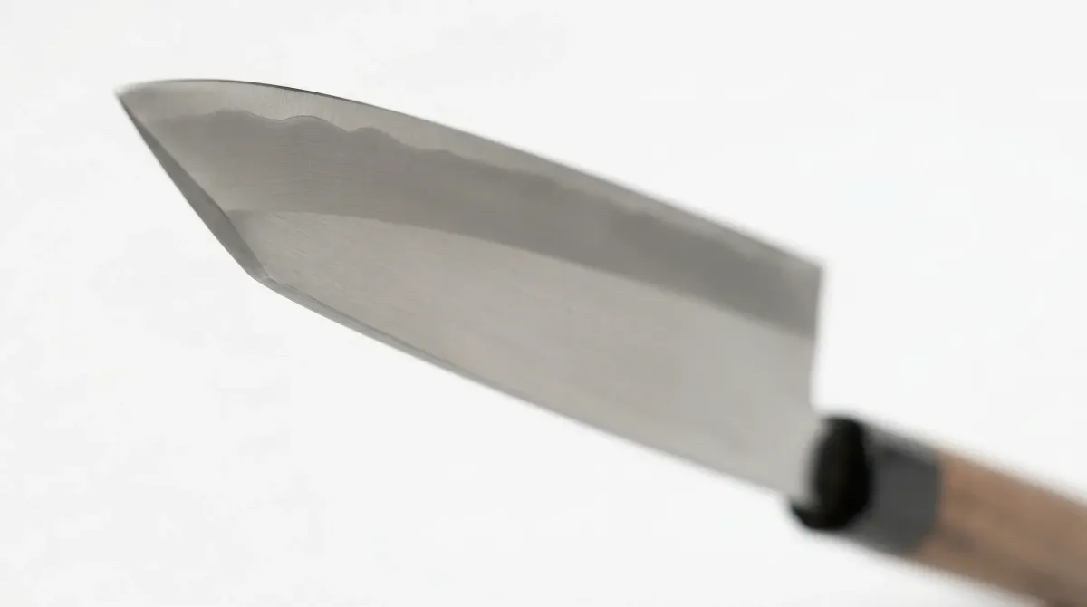 片刃の柳刃包丁のクローズアップ